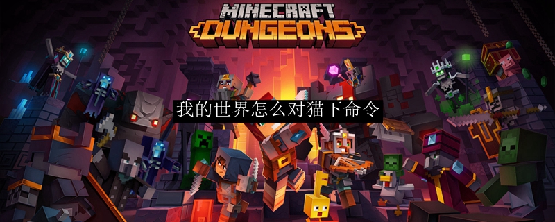 我的世界怎么对猫下命令