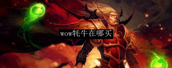 wow牦牛在哪买