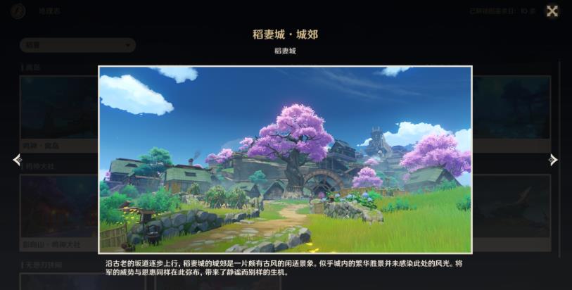 原神稻妻观景点位置大全