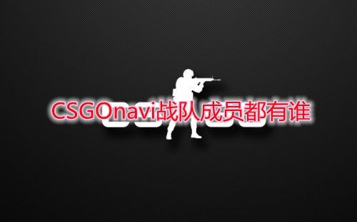 CSGOnavi战队成员都有谁