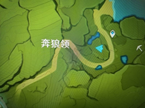 原神蒙德特产照片在哪拍