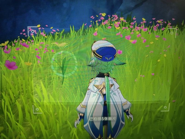 原神蒙德特产照片在哪拍