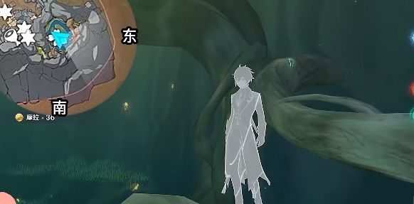 原神干枯的种子在哪