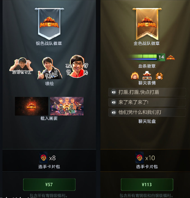 DOTA2dpc第三赛季magma战队应援团喷绘介绍