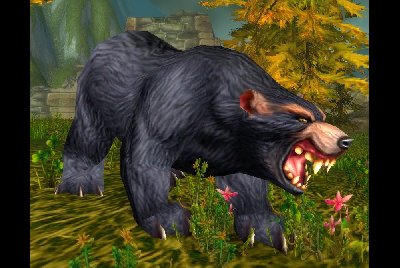 魔兽世界wlk熊在哪抓