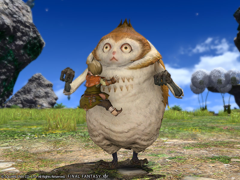 FF14猴面爸爸在哪购买