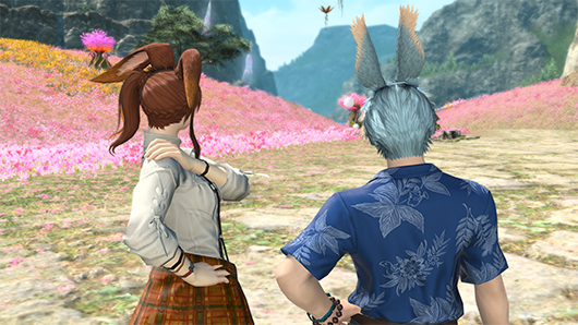 ff146.1更新笔记