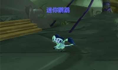 魔兽世界迷你鹦鹉在哪抓