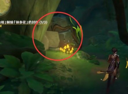 原神苦舍恒怎么解除钵参花