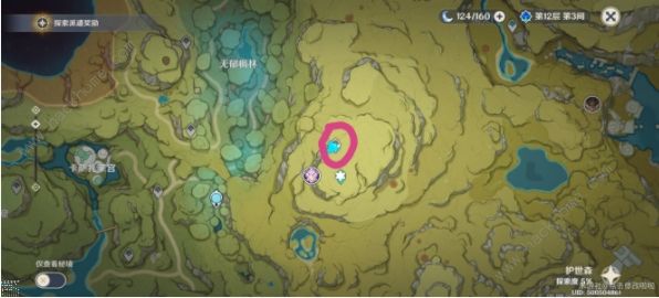 原神掣电树锚点在哪
