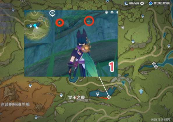 原神劫波莲分布图