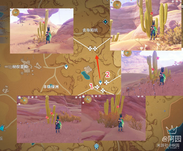 原神赤念果采集路线