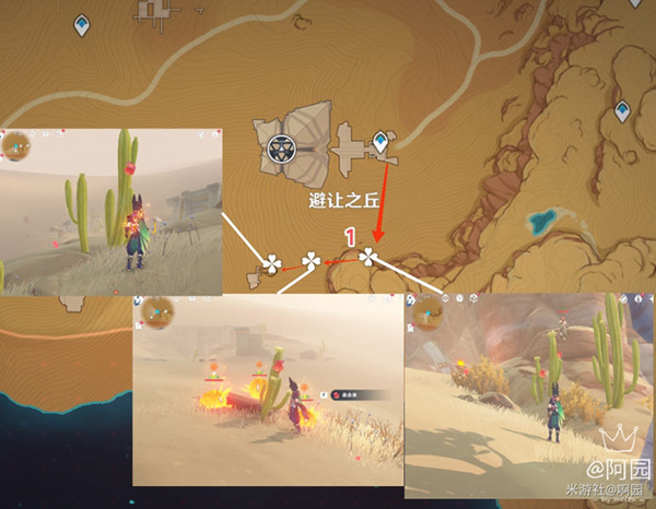 原神赤念果采集路线