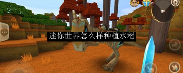 迷你世界怎么样种植水稻