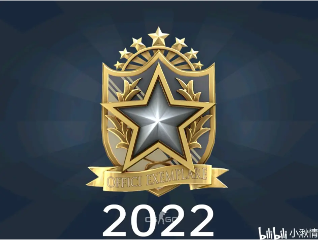 CSGO2022服役勋章外观介绍