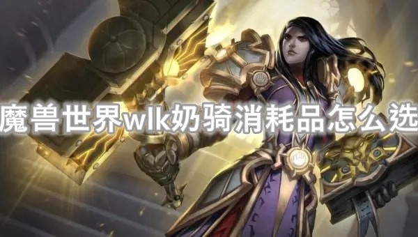 魔兽世界wlk奶骑消耗品怎么选