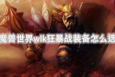 魔兽世界wlk狂暴战装备怎么选