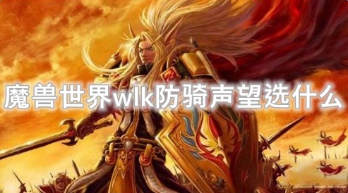 魔兽世界wlk防骑声望选什么