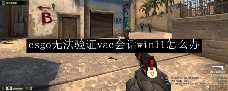 csgo无法验证vac会话win11怎么办