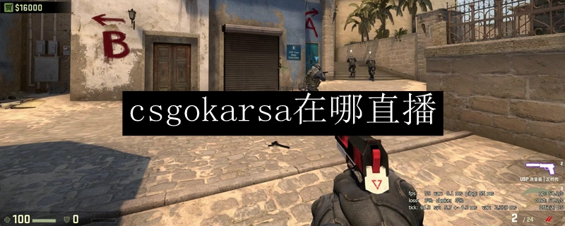 csgokarsa在哪直播