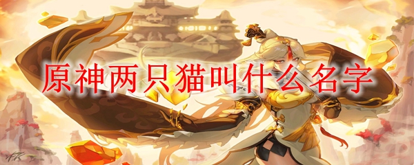 原神两只猫叫什么名字