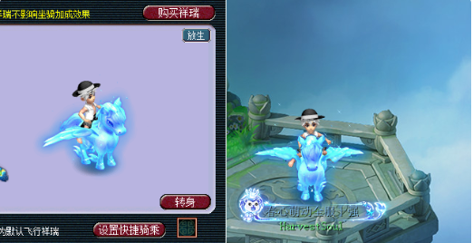 梦幻西游限量端详大全