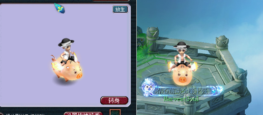 梦幻西游限量端详大全