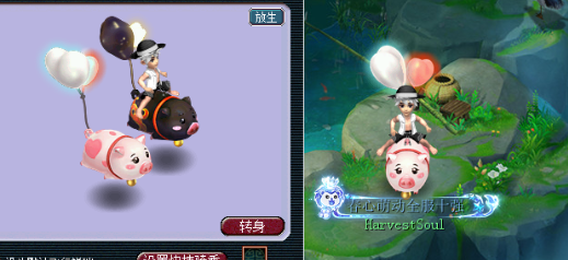 梦幻西游限量端详大全