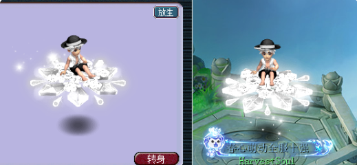 梦幻西游限量端详大全