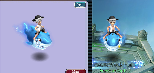 梦幻西游限量端详大全