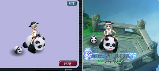 梦幻西游限量端详大全