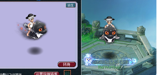 梦幻西游限量端详大全