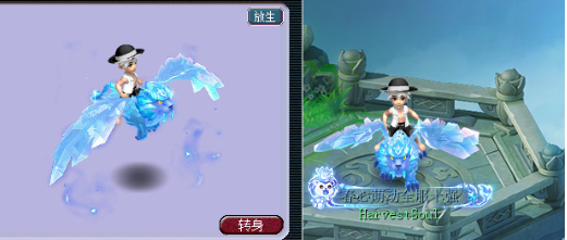 梦幻西游限量端详大全
