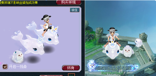 梦幻西游限量端详大全