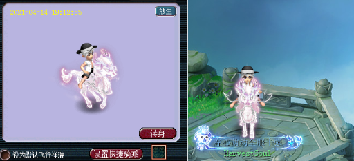 梦幻西游限量端详大全