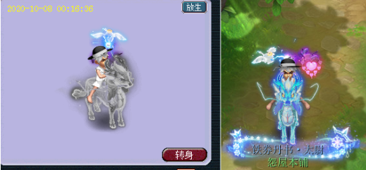 梦幻西游限量端详大全