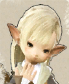 ff14冒险者小队稀有角色一览