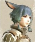 ff14冒险者小队稀有角色一览