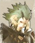 ff14冒险者小队稀有角色一览