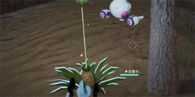 星球重启菠萝在哪采集