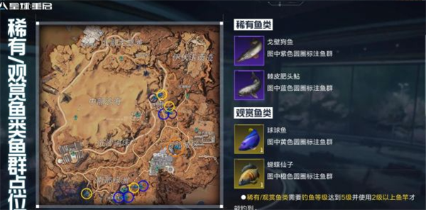 星球重启观赏鱼怎么获得