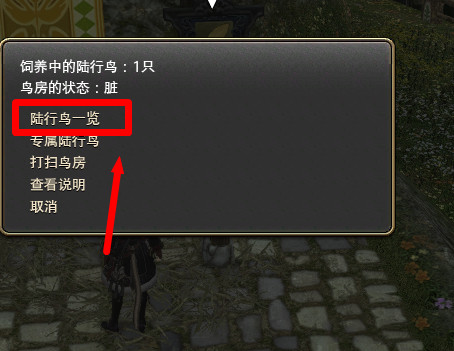 ff14陆行鸟怎么改名2024