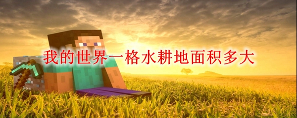 我的世界一格水耕地面积多大