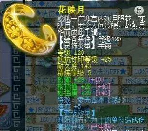 梦幻西游体质套装的使用指南