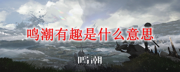 鸣潮有趣是什么意思
