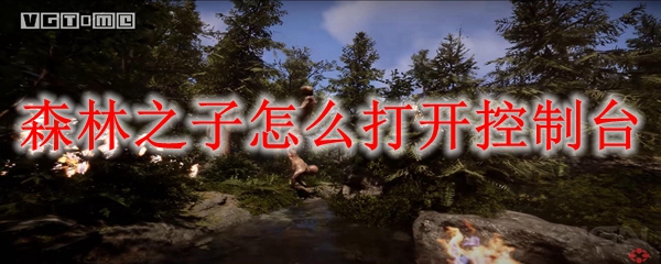森林之子怎么打开控制台
