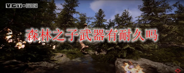 森林之子武器有耐久吗