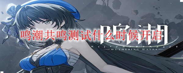 鸣潮共鸣测试什么时候开启