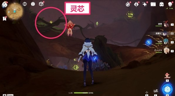 原神蔓生灵芯位置及解谜方法