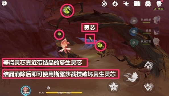 原神蔓生灵芯位置及解谜方法